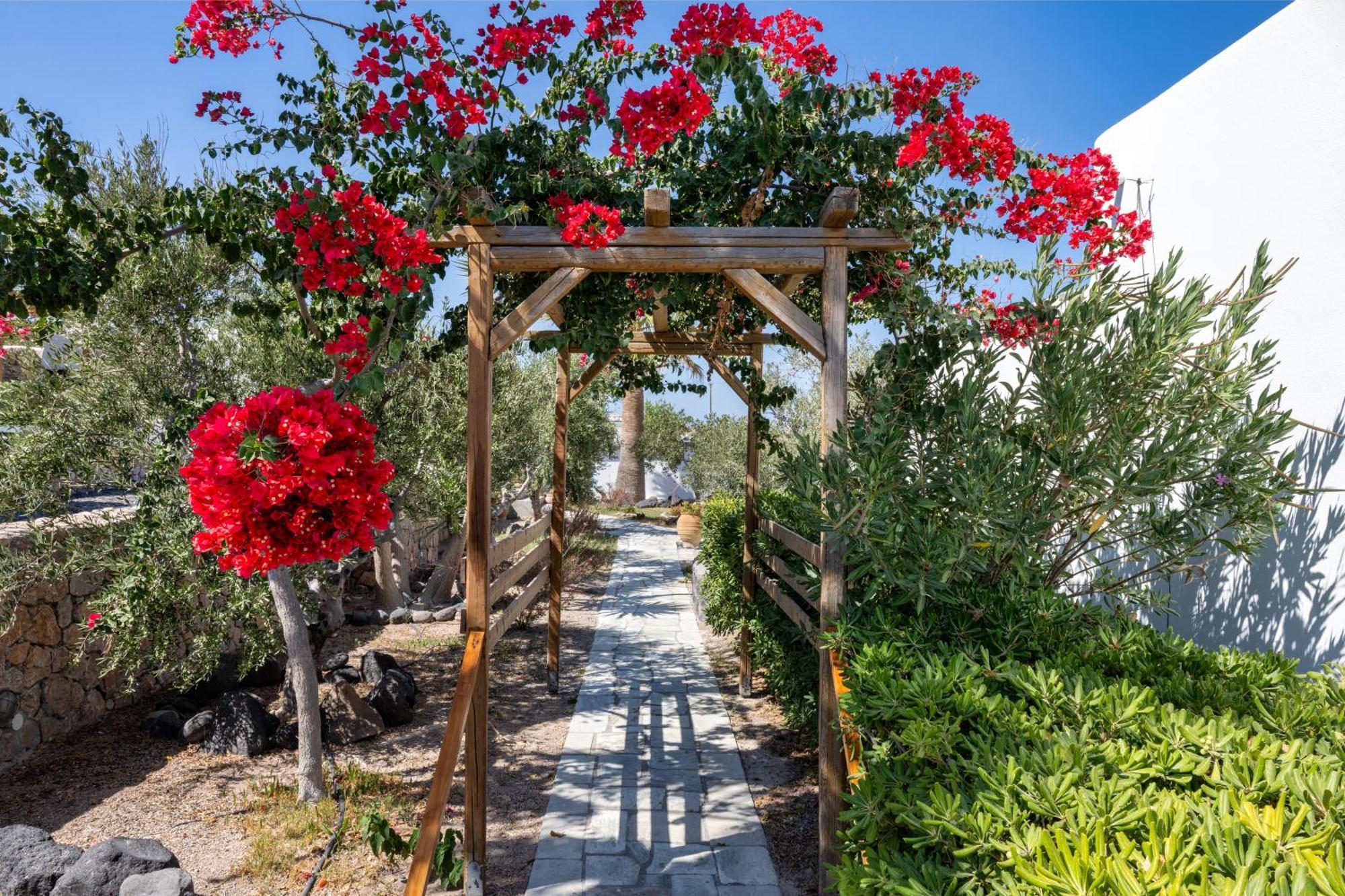 Anema Santorini Luxury Suites&Villas Vourvoúlos Exterior foto